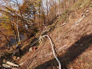 Plaz Drežnica in zapora ceste Kobarid - Drežnica