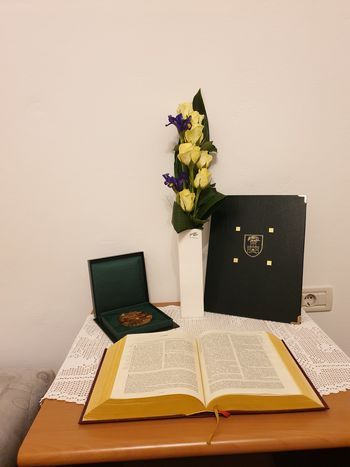 Plaketa glavnega mesta Ljubljane