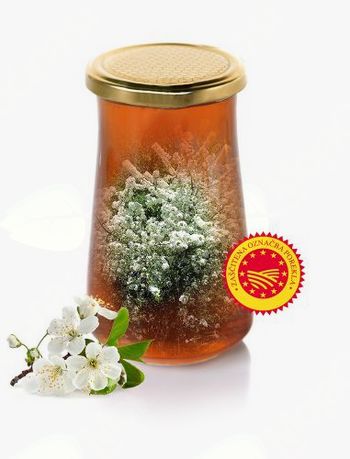 Izberite med višje kakovosti