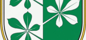 Vabilo – ČISTILNA AKCIJA