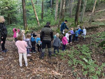 Škrati sledimo divjim prašičem Škrati sledimo divjim prašičem