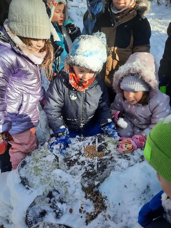 ŠKRATOVSKI SNEŽENI GOZD 