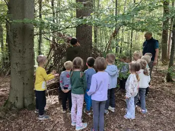 Gozdni škratki med drevesi Gozdni škratki med drevesi