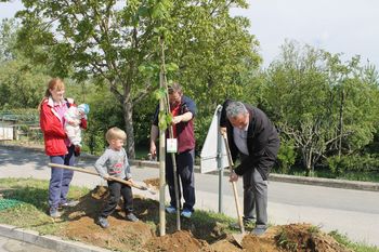 Ob dnevu zemlje zasadili medovita drevesa in ustvarili drevored generacije 2016 