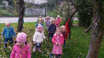 Trgatev v oddelku 2-3