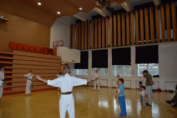 SIMBIOZA GIBA  -  Tradicionalni karate
