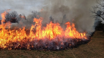 Požarna ogroženost naravnega okolja