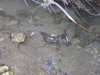 Z naravnim okoljem ravnajmo odgovorno Z naravnim okoljem ravnajmo odgovorno