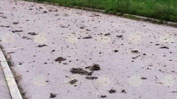 Onesnaženje cest in oranje ob robovih cest