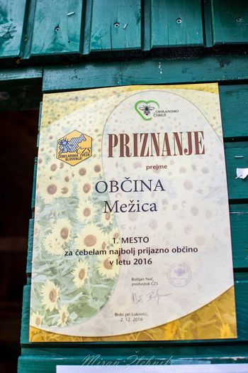 OBČINA MEŽICA JE ČEBELAM NAJBOLJ PRIJAZNA OBČINA