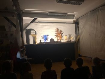 Senčno gledališče: SMREČICA ZA MEDVEDA