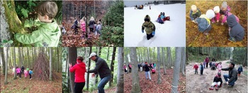 Predavanje V gozd po zdravje in modrost - zgodba gozdne pedagogike v Sloveniji