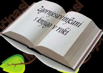 Literarni večer z Mihom Mazzinijem