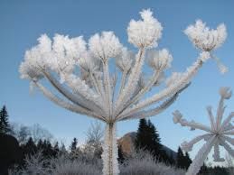 USTVARJALNOST IN DOMIŠLJIJA ...