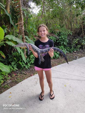 POTOPIS - PO AMERIKI