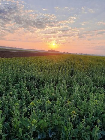 DOGODIVŠČINE, PRIJATELJSTVO, PRAVLJICE ...