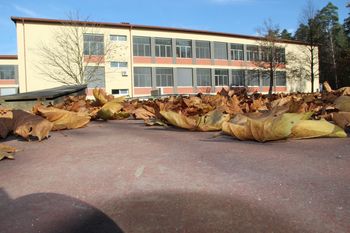 ŠOLA, DRUŽBA IN MI