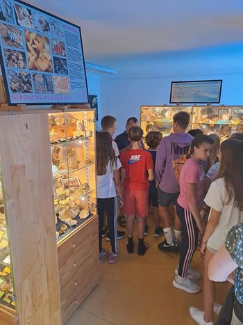 Naravoslovni dan sedmošolcev 