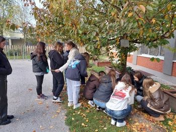 Spomin, ki cveti – uspešen zaključek projekta Krokus