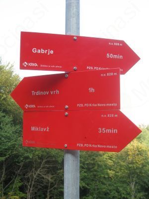 Pohod na Trdinov vrh