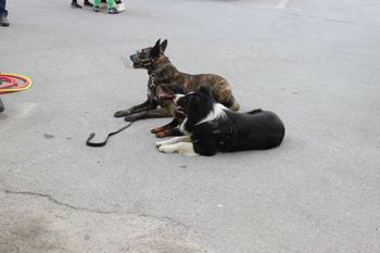 PRAV POSEBNA URA PRAVLJIC V KNJIŽNICI TRŽIČ