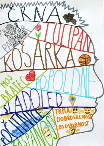 OGLED MUZIKALA KAR »IZ DOMAČEGA FOTELJA«