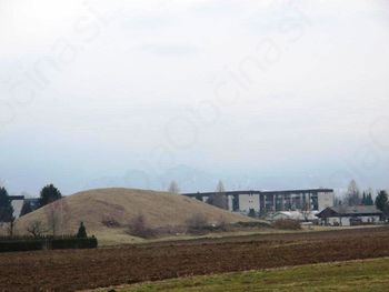 Prispevki k pridelavi zdrave hrane in samooskrbi