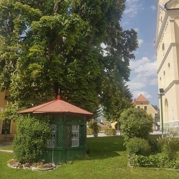 Zgodovina naše vrtne ute