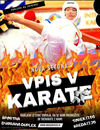 VPIS V KARATE VPIS V KARATE