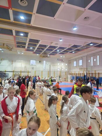 Regijsko pokalno tekmovanje - ŠTAJERSKO POMURSKA 2. krog 2026