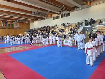 PET MEDALJ NA DRUGEM DRŽAVNEM POKALNEM TEKMOVANJU