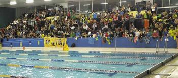 MM miting 'Božičev memorial 2016' MM miting 'Božičev memorial 2016'