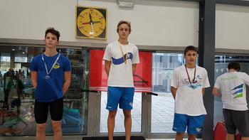 Mednarodni miting v plavanju