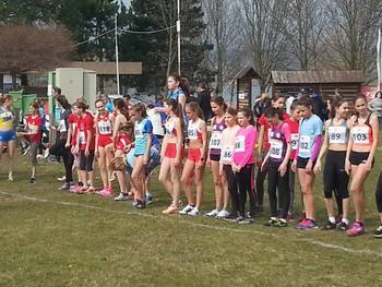 Prvenstvo Slovenije v krosu