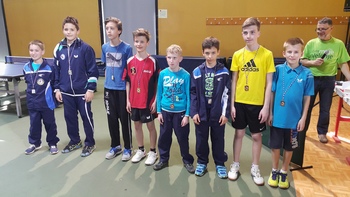 Prvenstvo severno vzhodne regije v namiznem tenisu