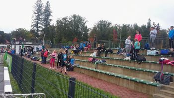 Ekipno osnovnošolsko tekmovanje v atletiki za OŠ Koroške