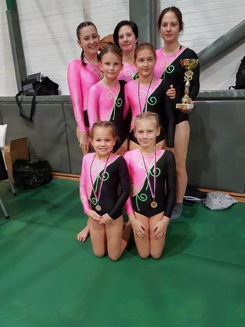 Odprto prvenstvo v gimnastiki