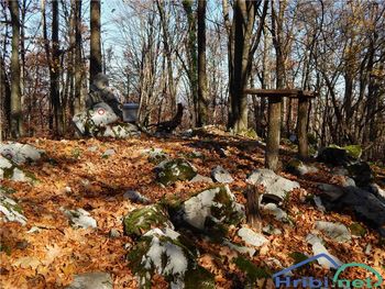 Pohod na Ostri Vrh, torek, 26. december 2016