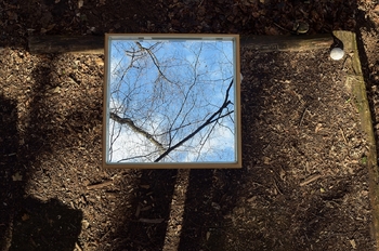 Odprtje  fotografske dokumentarne razstave Življenje gozdnega ogledala v Parku Pečno