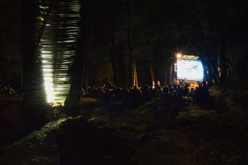 Kino v gozdu