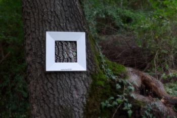 NaturArt2020 Park Pečno Kanal