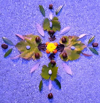 Likovna umetnost na daljavo