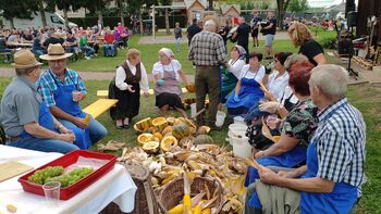 Zahvala polju v Starošincah