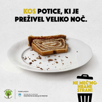 Zavržena hrana je spregovorila Zavržena hrana je spregovorila