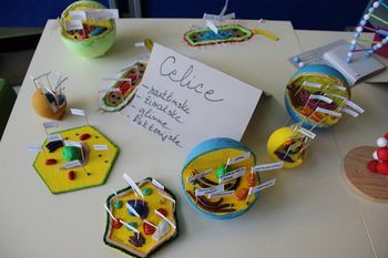 SOBOTNI NARAVOSLOVNI DAN