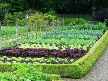 Eurogardnovi vrtičkarski nasveti za mesec marec