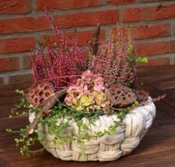 Delavnica "IZDELAVA JESENSKIH ARANŽMAJEV"