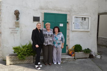 Povezovanje med prostovoljci in javnimi inštitucijami