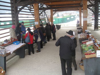 Izmenjava semen in izkušenj