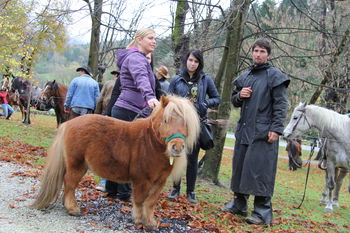 Konjem blagoslov, ljudem ričet